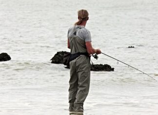 Czym naoliwić zawiasy?