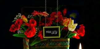 Ile pali Smart Forfour?