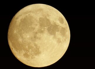 Co lepsze E5 czy E10?