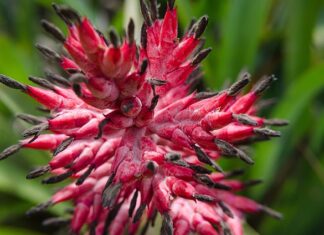 Czy wazelina techniczna niszczy gumę?