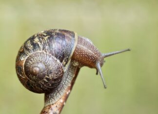 Czy można jeździć z uszkodzonym czujnikiem NOX? Czy można jeździć z uszkodzonym czujnikiem NOX?