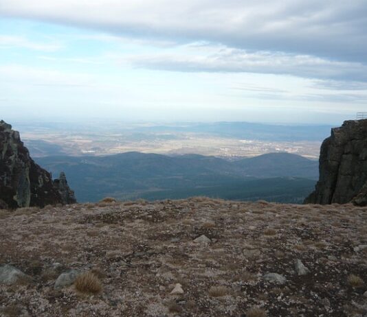 Jakie są ceny Skody?