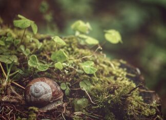 Co się dzieje bez sondy lambda?