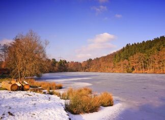 Przy jakiej temperaturze zamarza WD 40?