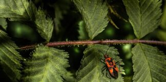 Kiedy wymiana tarcz hamulcowych w samochodzie?