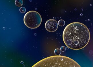 Czym się różni zawieszenie sportowe od zwykłego?