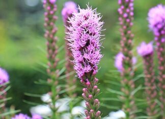 Czy wycięcie katalizatora zwiększa moc silnika?