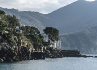 Ile kosztuje pomiar mocy na hamowni?