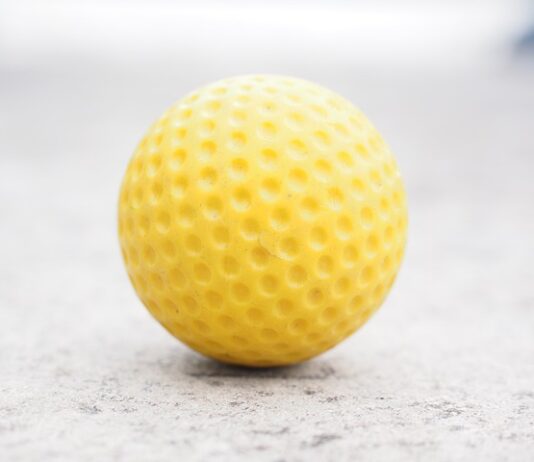 Co do prowadnic hamulcowych?