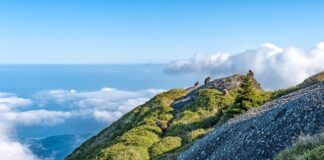 Jaka jest różnica między skrzynią automatyczną a półautomatyczną?