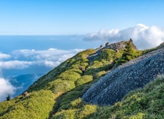 Jaka jest różnica między skrzynią automatyczną a półautomatyczną?