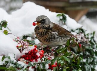 Co to jest przepustnica wentylacyjna?