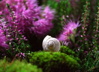 Ile kosztuje sonda lambda do BMW?