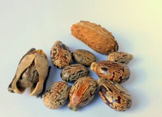 Jak usunąć stare plamy z oleju silnikowego?