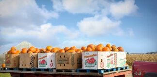 Jak dobrać skrzynie biegów do silnika?