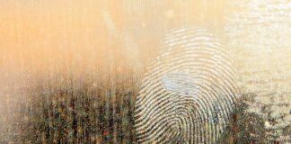 Jaki smar do piast samochodowych?