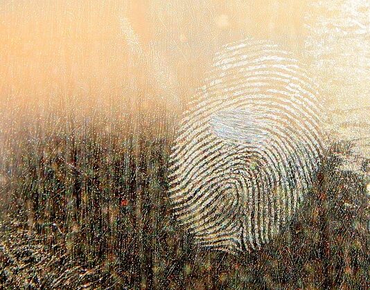 Jaki smar do piast samochodowych?