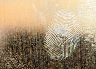 Jaki smar do łańcucha rowerowego grafitowy?