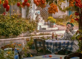 Ile pali Alfa Romeo 159 1.9 JTD?