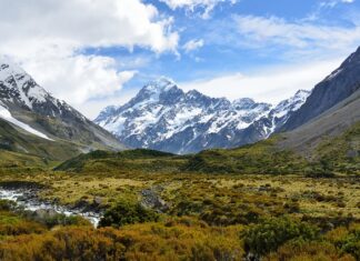 Ile się czeka na nową Toyote?